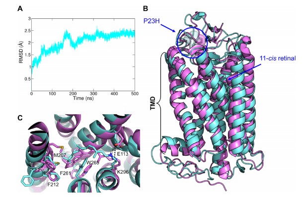 结构稳定性分析